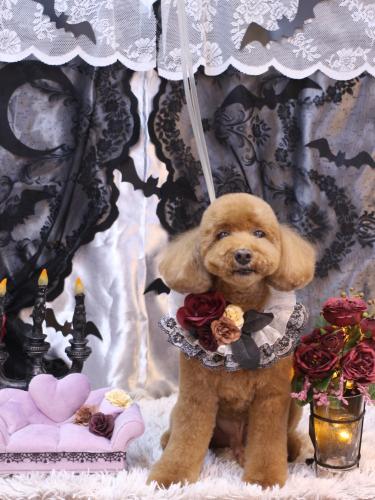 20231008レオくん